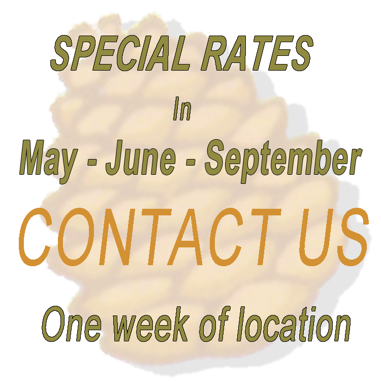 Special rates